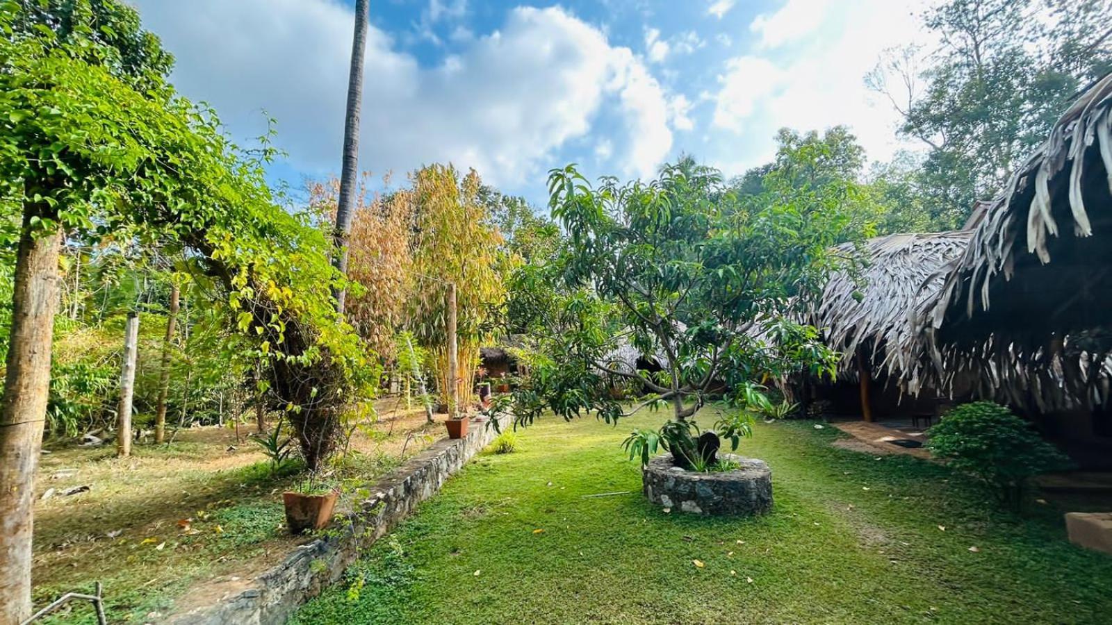 Hasthi Safari Cottage Udawalawe Exterior photo