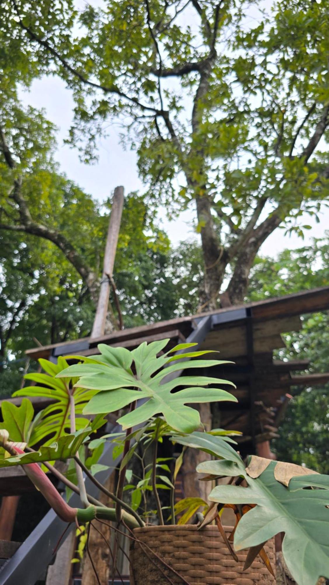 Hasthi Safari Cottage Udawalawe Exterior photo